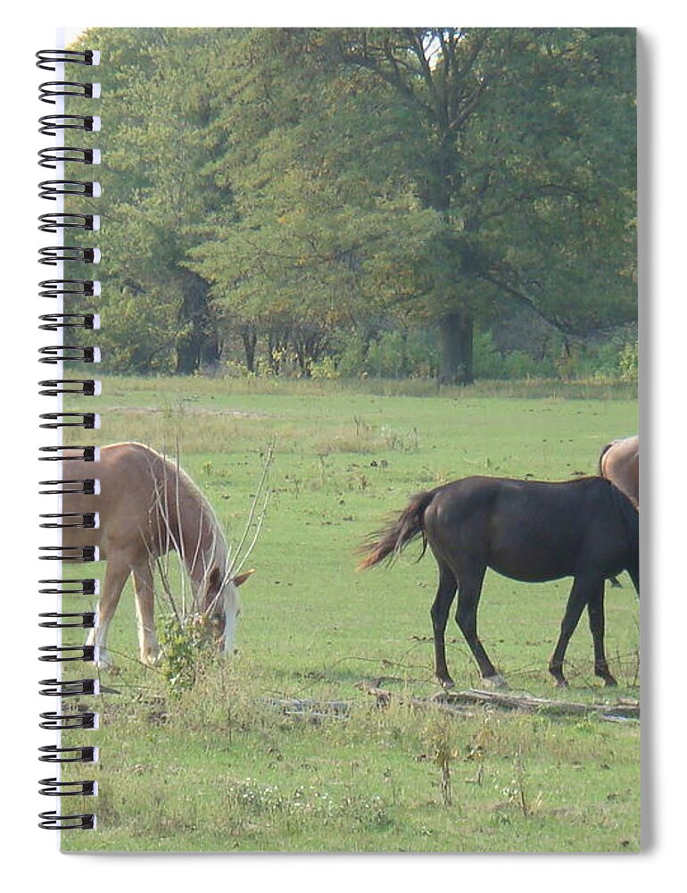 Nature Spiral Notebook featuring the photograph Mowing the Lawn by Bonfire Photography