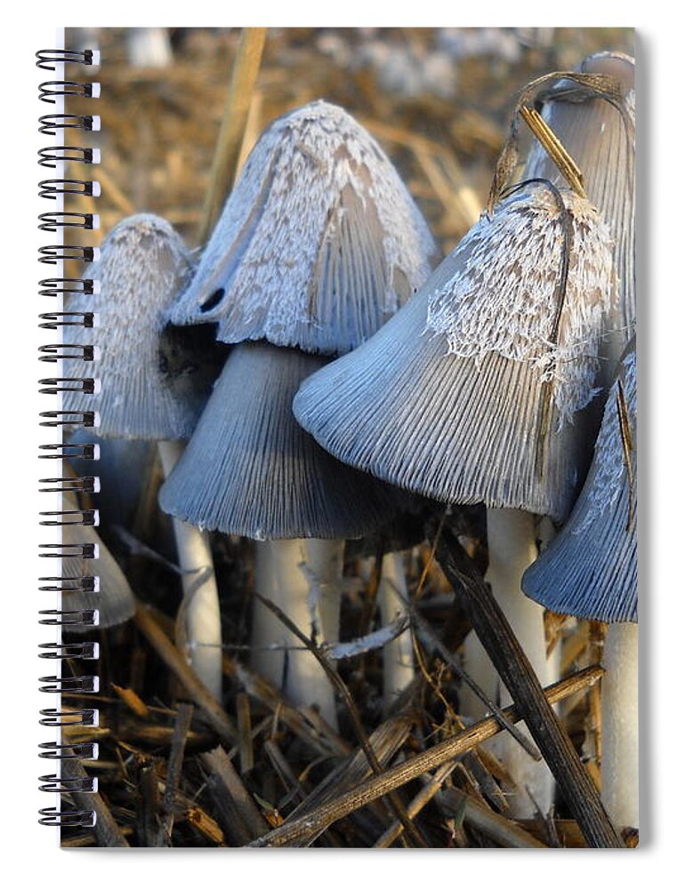 Mushroom Spiral Notebook featuring the photograph Mushroom Family by Kent Lorentzen