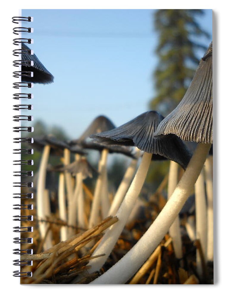 Mushroom Spiral Notebook featuring the photograph Mushroom Leaning to the Right by Kent Lorentzen