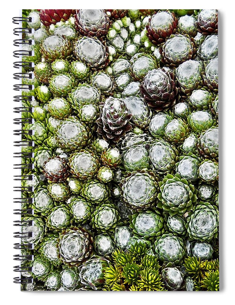 Garten Spiral Notebook featuring the photograph My Rockery ... by Juergen Weiss