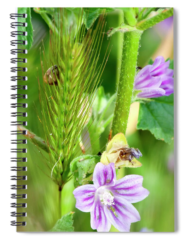 Flower Spiral Notebook featuring the photograph Natural Bouquet by Pedro Cardona Llambias