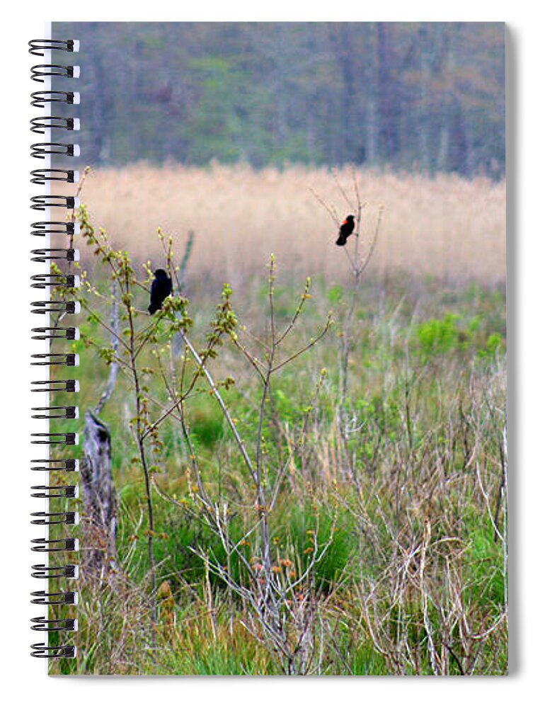 Marshland Spiral Notebook featuring the photograph Nature On The Marsh by Kim Galluzzo Wozniak
