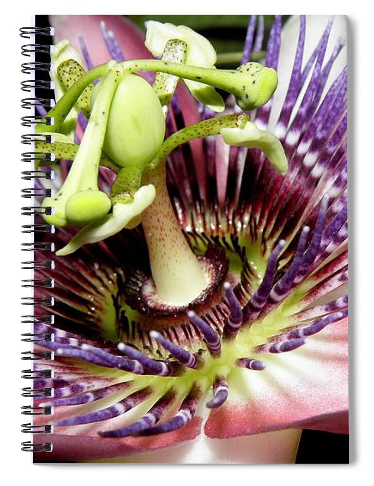 Passion Flower Spiral Notebook featuring the photograph Natures Beauty at Night by Kim Galluzzo