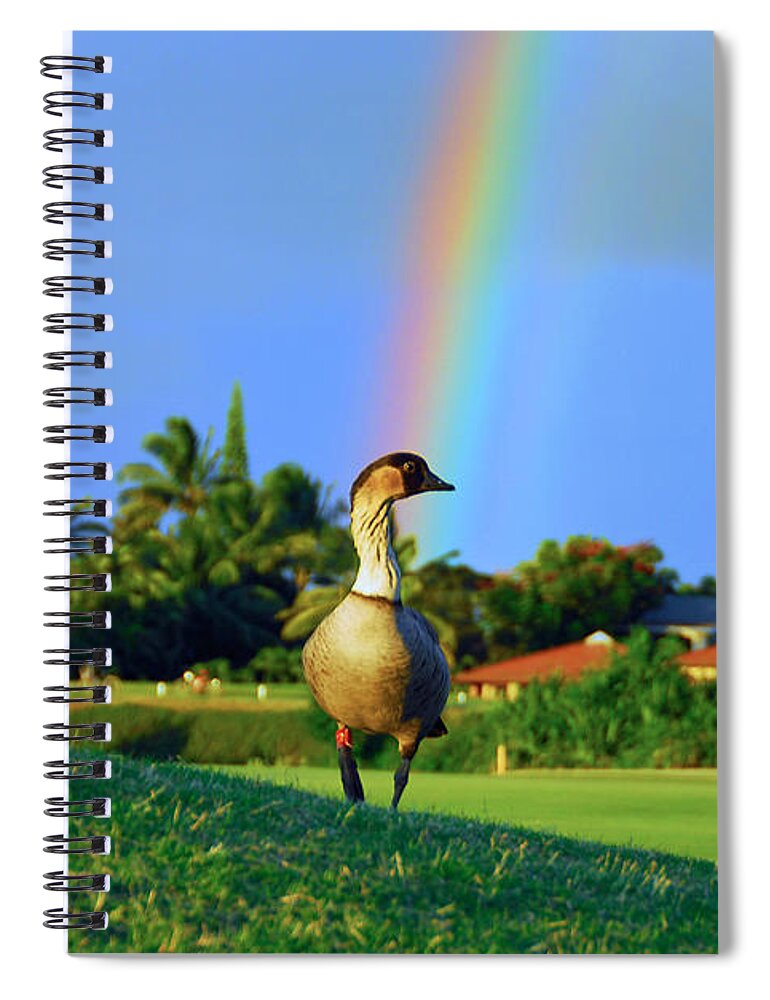 Nene Spiral Notebook featuring the photograph Nene at the End of the Rainbow by Lynn Bauer