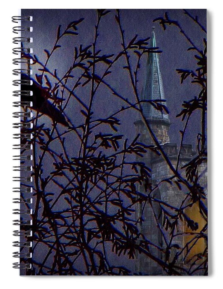 Raven Spiral Notebook featuring the photograph Nevermore by David Dehner