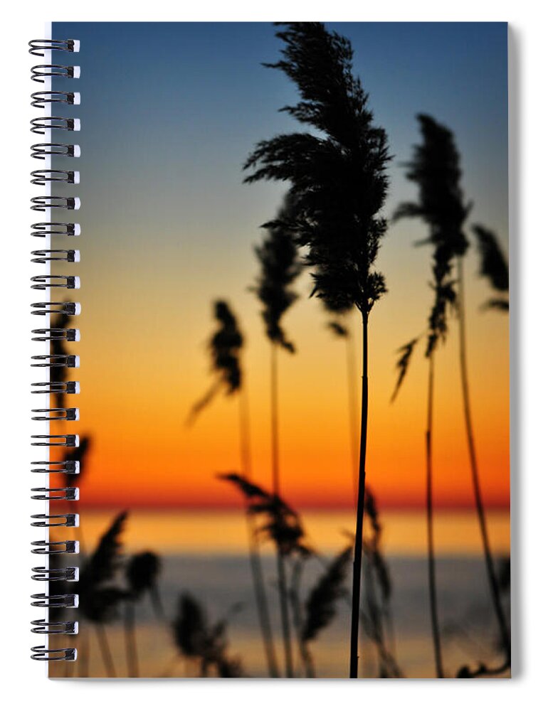 Sunrise Spiral Notebook featuring the photograph New Day by Rebecca Sherman