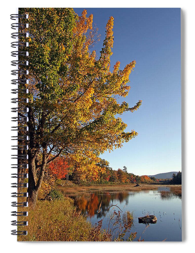 Acadia Spiral Notebook featuring the photograph New Mills Meadow Pond by Juergen Roth