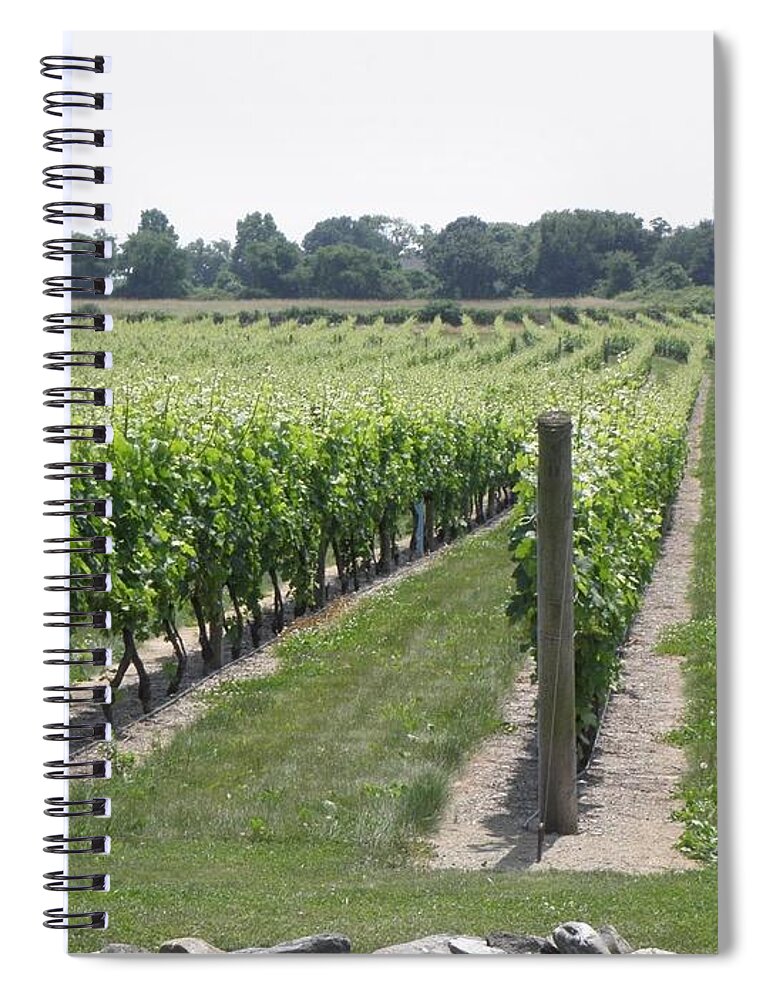 Vineyards Spiral Notebook featuring the photograph Newport Vineyards by Kim Galluzzo Wozniak