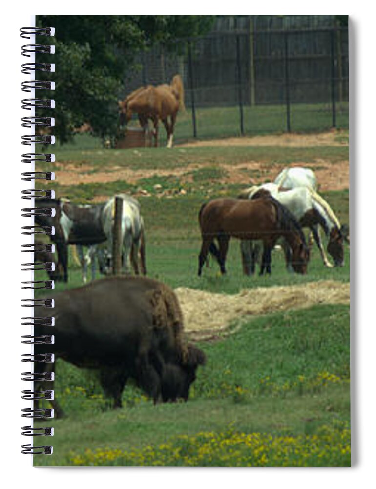Noahs Ark Spiral Notebook featuring the photograph Noahs Ark by Donna Brown