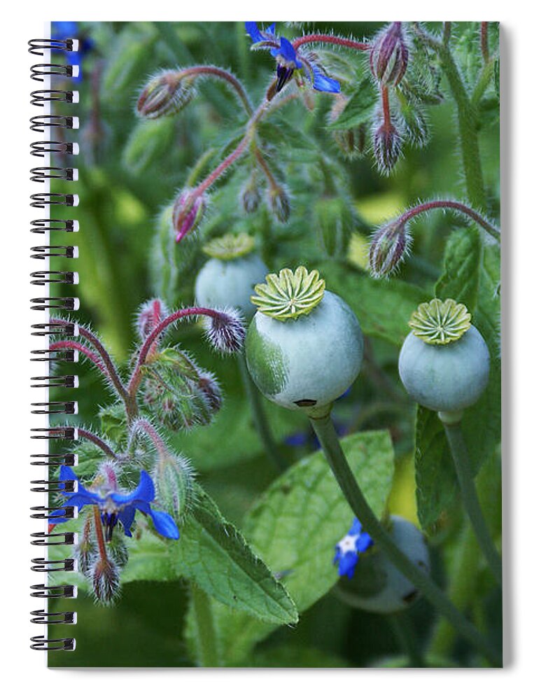 Flowers Spiral Notebook featuring the photograph Nothing is the Same by Ben Upham III
