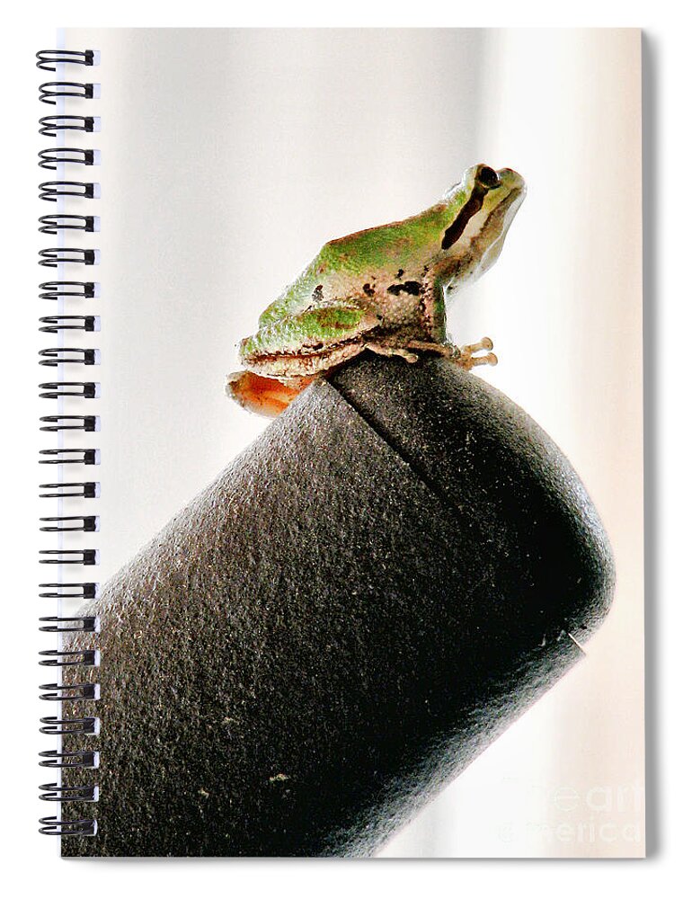 Frog Spiral Notebook featuring the photograph Now What? by Rory Siegel
