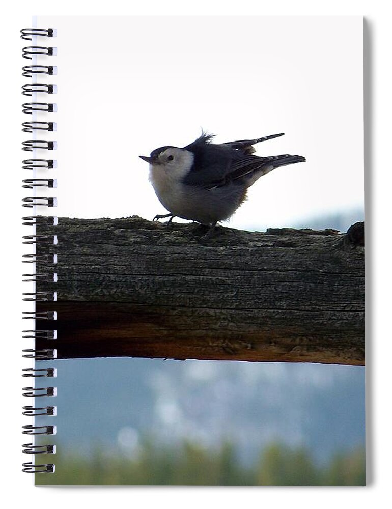 Nuthatch Spiral Notebook featuring the photograph Nuthatch by Dorrene BrownButterfield