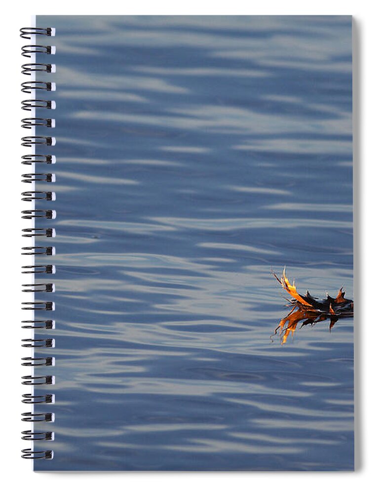 Water Spiral Notebook featuring the photograph Oak Leaf Floating by Daniel Reed