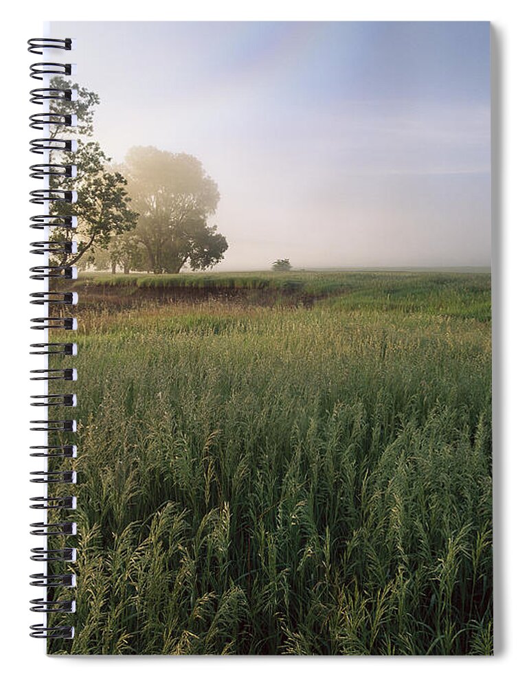 00174550 Spiral Notebook featuring the photograph Oak Trees Shrouded In Fog Tallgrass by Tim Fitzharris