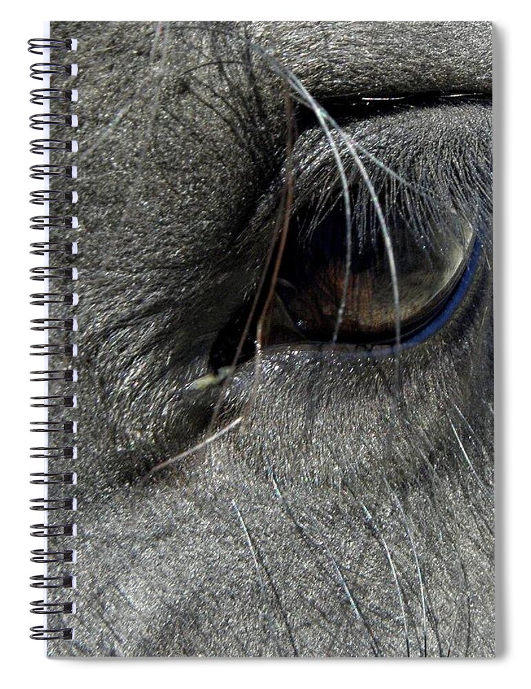 Eye Spiral Notebook featuring the photograph Oh The Lashes by Kim Galluzzo