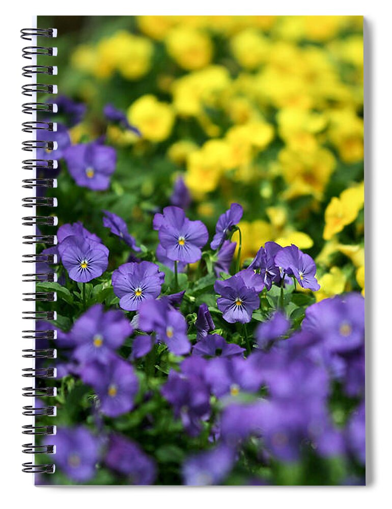 Landscape Spiral Notebook featuring the photograph Opposites Attract by Sabrina L Ryan