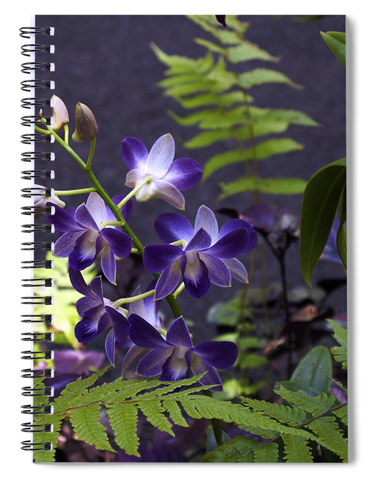 Fine Art Photography Spiral Notebook featuring the photograph Orchid Study IV by Patricia Griffin Brett