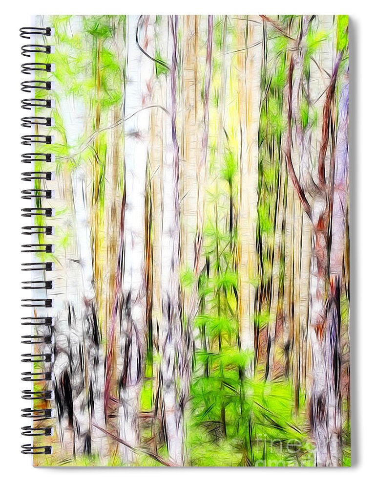 Fine Art Photography Spiral Notebook featuring the photograph Out of One Many Fractal by Donna Greene