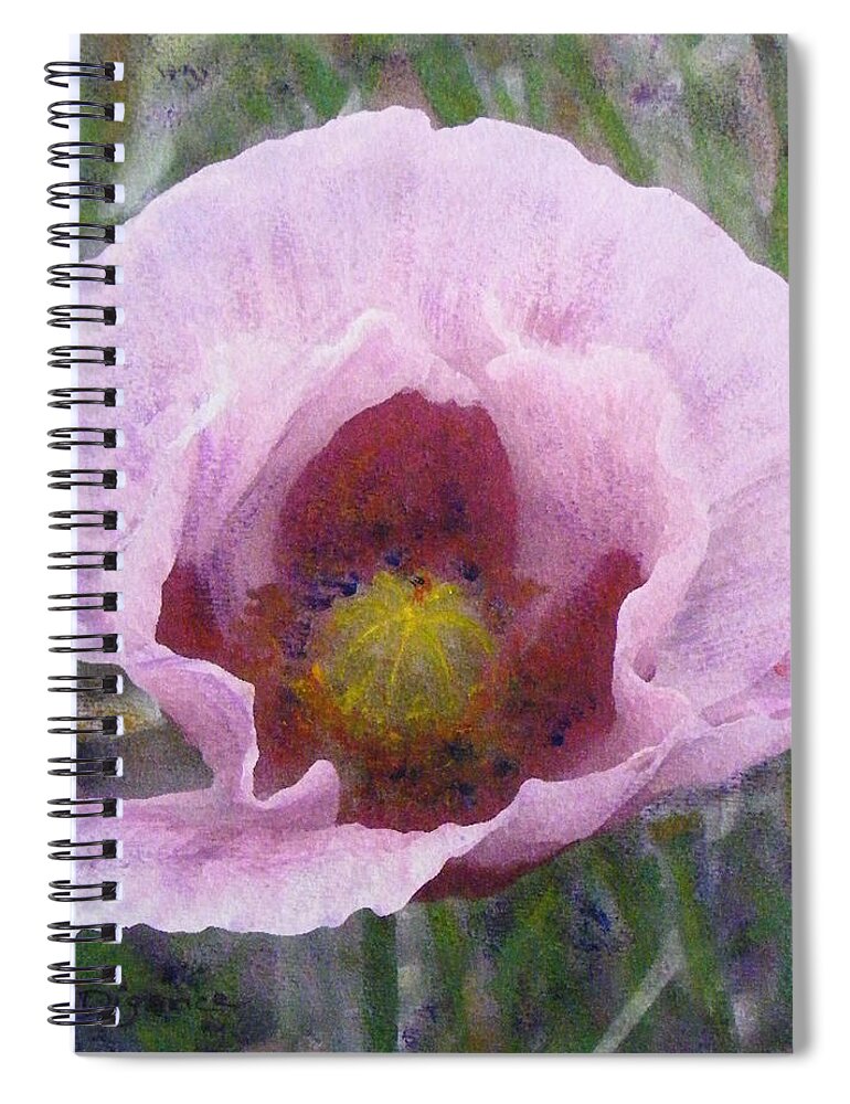 Poppy Spiral Notebook featuring the painting Pale Pink Poppy by Richard James Digance