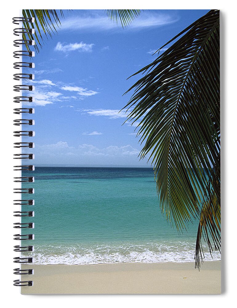 Mp Spiral Notebook featuring the photograph Palm Fronds Frame Bacardi Beach by Konrad Wothe