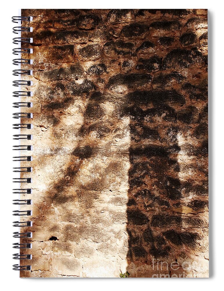 Palmera Spiral Notebook featuring the photograph Palm trunk by Agusti Pardo Rossello
