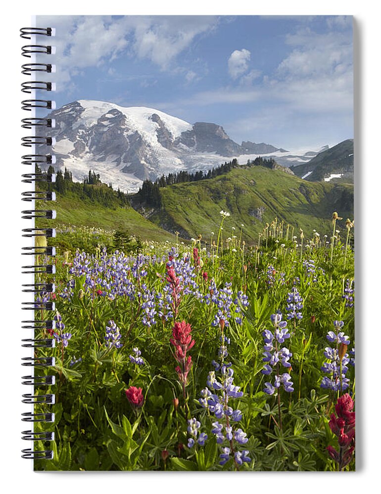 00437809 Spiral Notebook featuring the photograph Paradise Meadow And Mount Rainier Mount by Tim Fitzharris