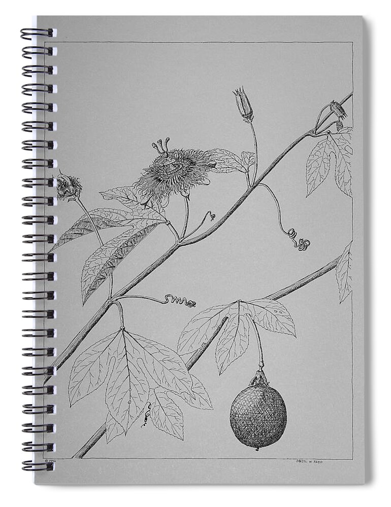Passionflower Spiral Notebook featuring the drawing Passionflower Vine by Daniel Reed