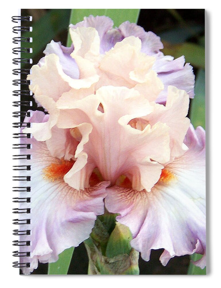 Iris Spiral Notebook featuring the photograph Pastel Variations by Dorrene BrownButterfield