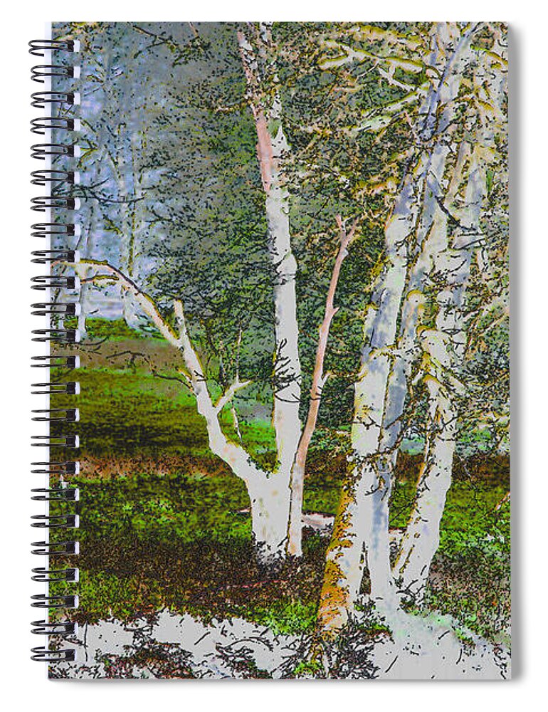 Forest Spiral Notebook featuring the photograph Peaceful Meadow by Marie Jamieson