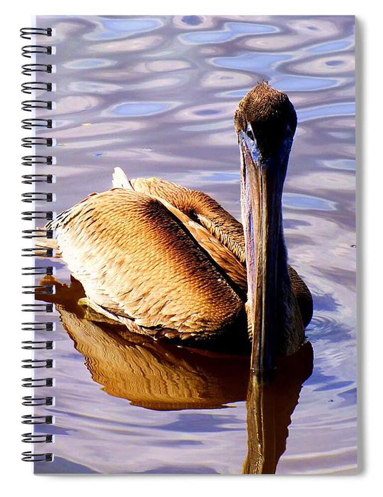 Birds Spiral Notebook featuring the photograph Pelican Puddles by Karen Wiles