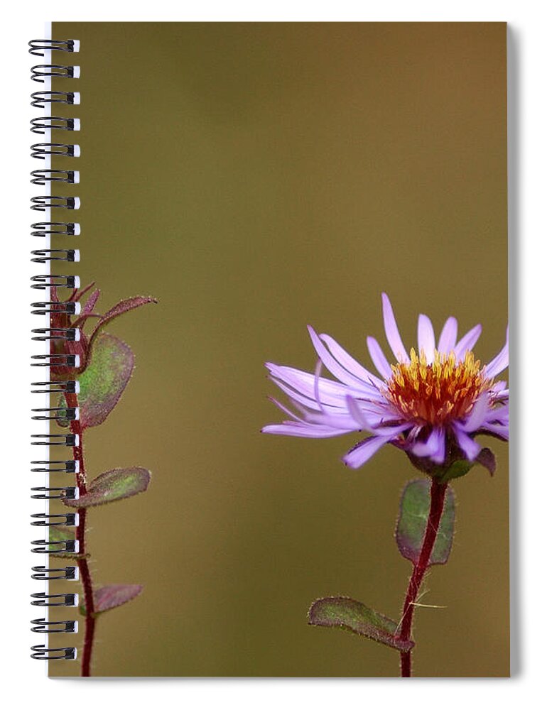 Usa Spiral Notebook featuring the photograph Pending Beauty by LeeAnn McLaneGoetz McLaneGoetzStudioLLCcom