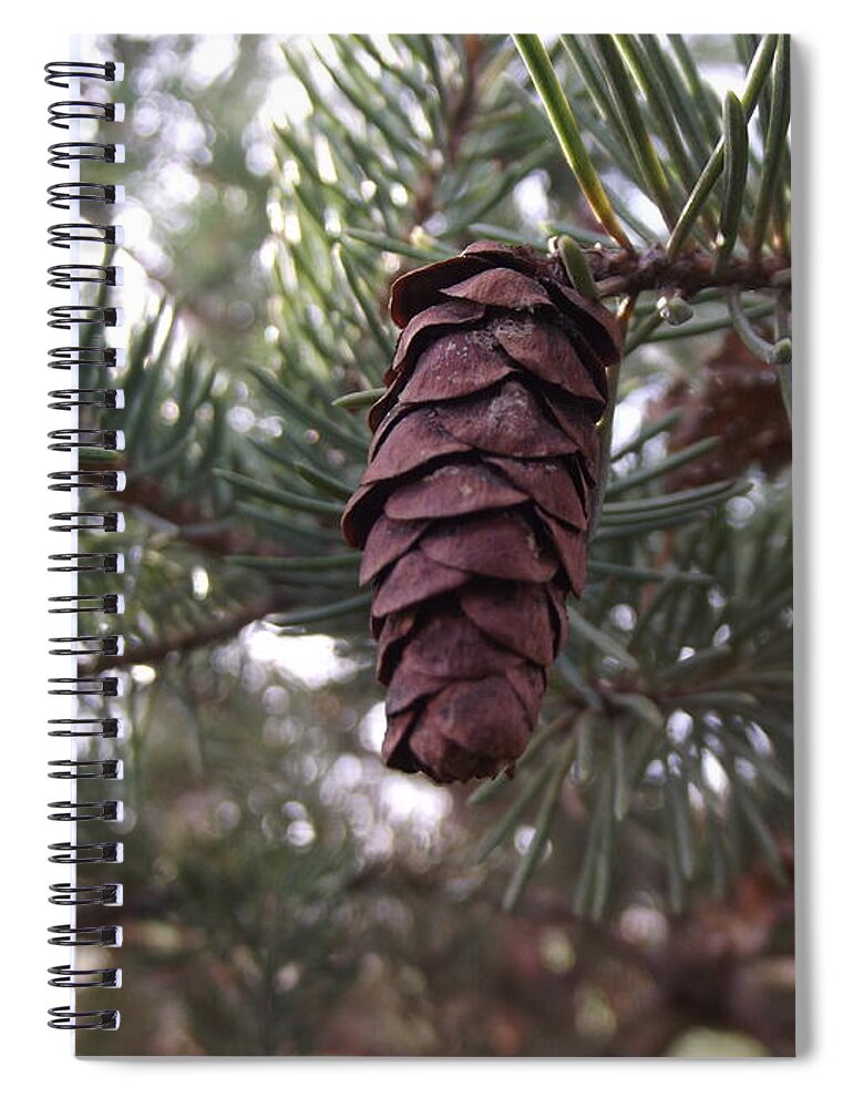 Pine Spiral Notebook featuring the photograph Pine Cone by Bonfire Photography