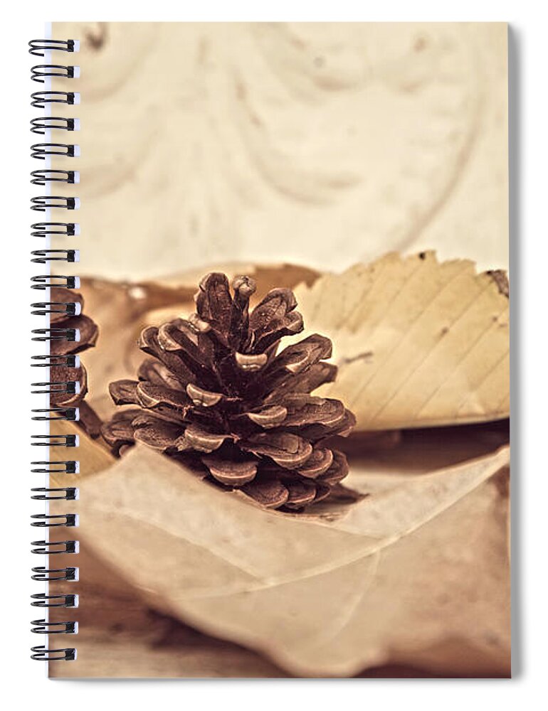 Autumn Spiral Notebook featuring the photograph Pinecones and leaves by Toni Hopper