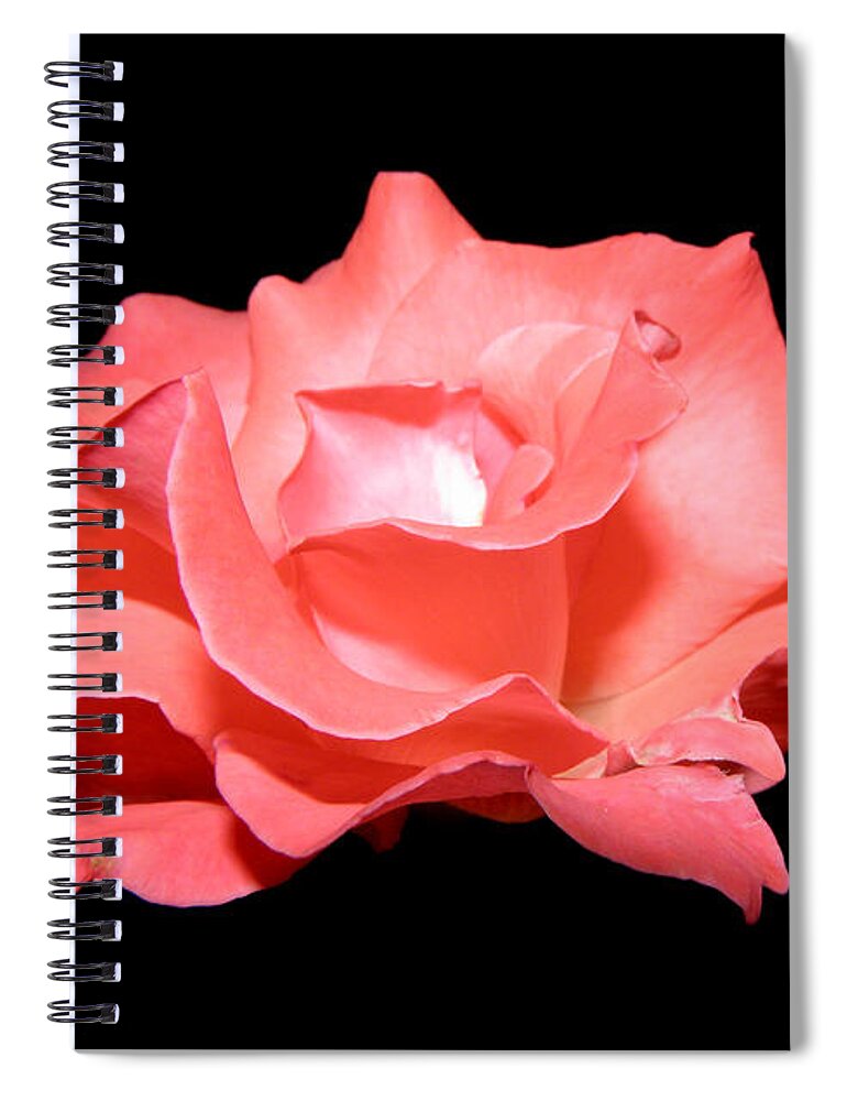 Flower Spiral Notebook featuring the photograph Pink Floater by Kim Galluzzo