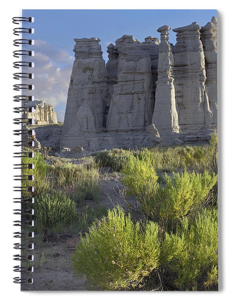 00176884 Spiral Notebook featuring the photograph Plaza Blanca Near Abiquiu New Mexico by Tim Fitzharris