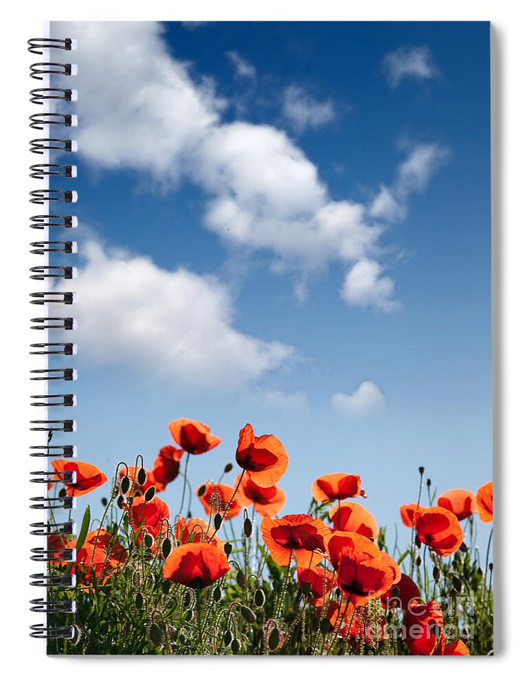 Poppy Spiral Notebook featuring the photograph Poppy Flowers 04 by Nailia Schwarz