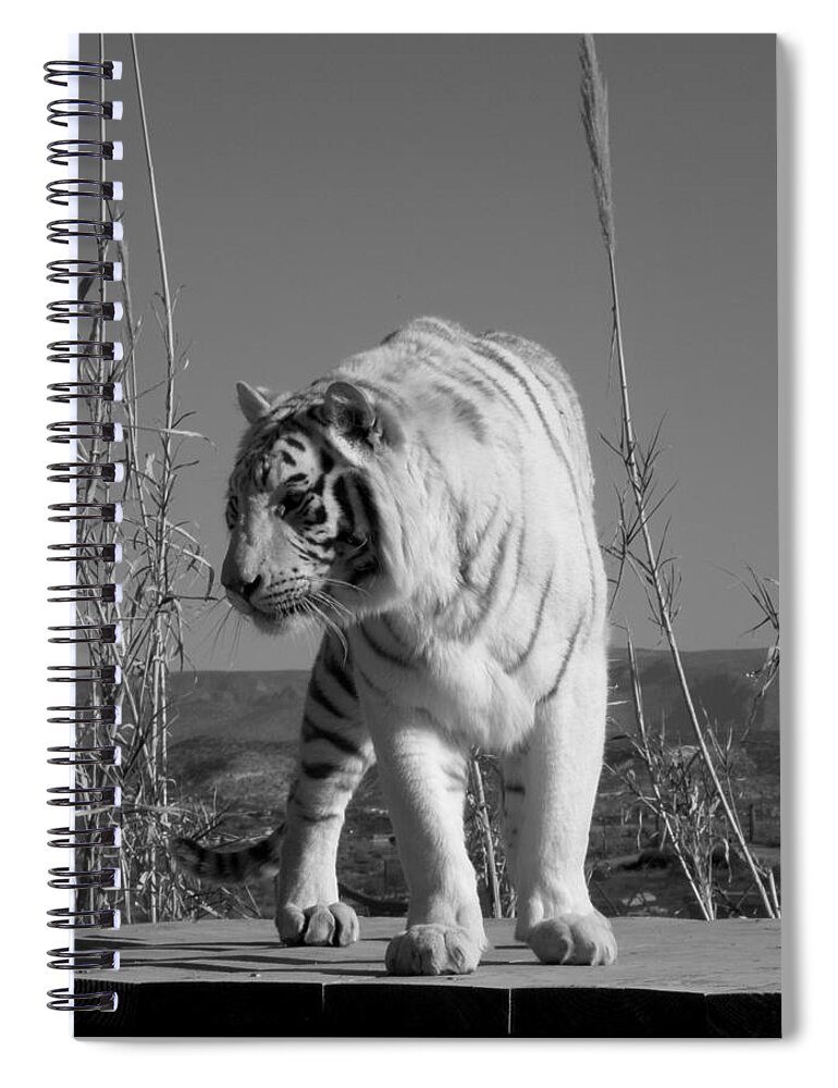 White Spiral Notebook featuring the photograph Power by Kim Galluzzo Wozniak