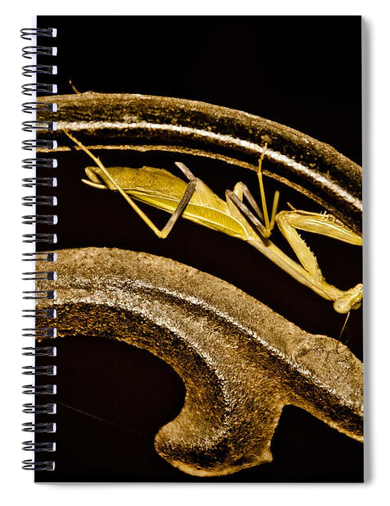 Praying Mantis Spiral Notebook featuring the photograph Albuquerque, New Mexico - Prayer Scroll by Mark Forte
