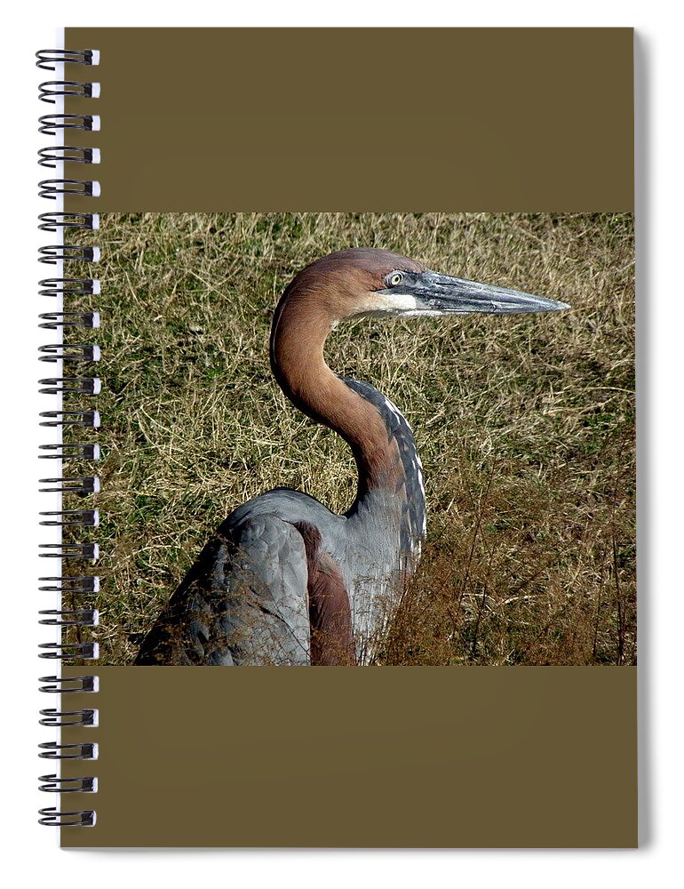 Crane Spiral Notebook featuring the photograph Prehistoric Features by Kim Galluzzo Wozniak
