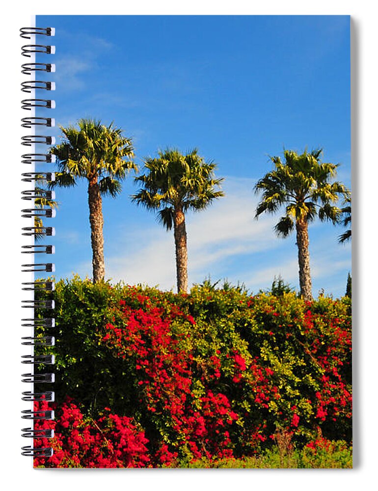 Pt Dume Spiral Notebook featuring the photograph Pt. Dume Palms by Lynn Bauer