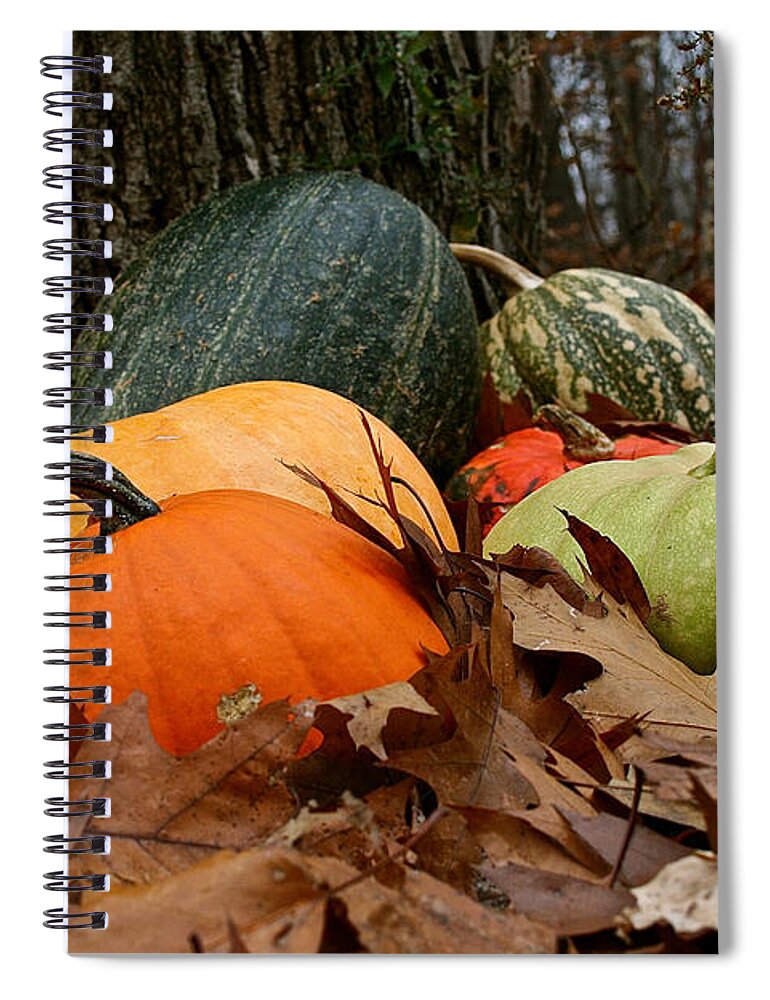 Outdoors Spiral Notebook featuring the photograph Pumpkins And More Pumpkins by Susan Herber