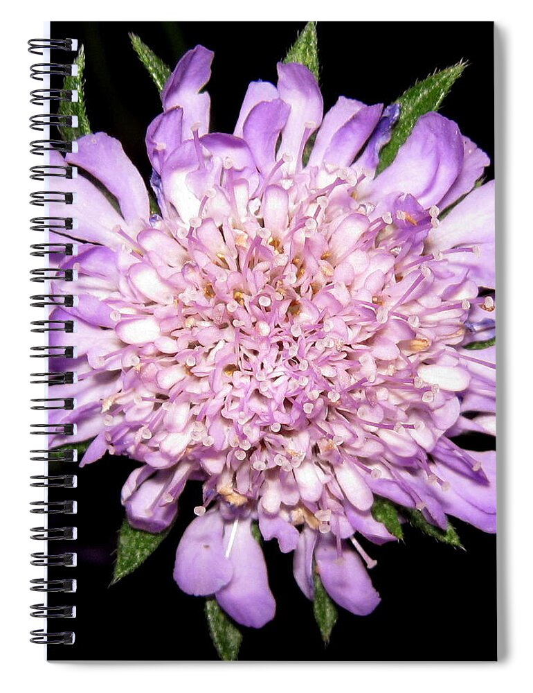 Flower Spiral Notebook featuring the photograph Purple bloom by Life Makes Art