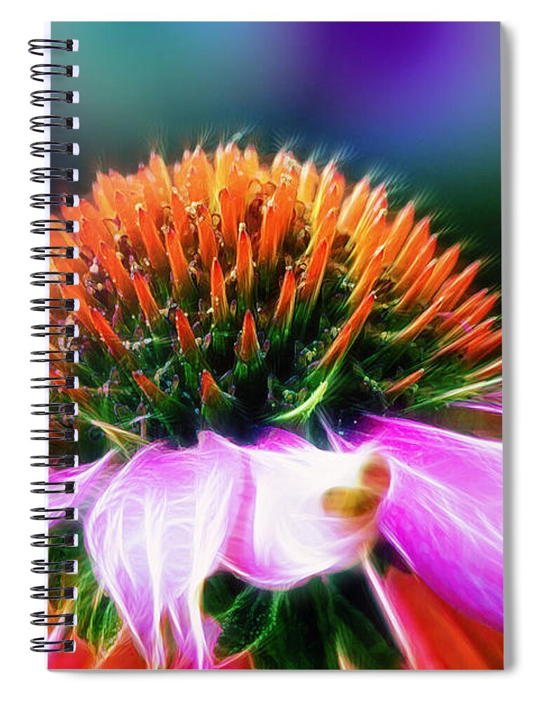 Flower Spiral Notebook featuring the photograph Purple Coneflower Delight by Bill and Linda Tiepelman