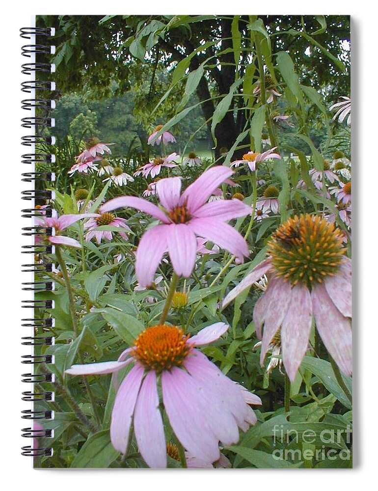 Flowers Spiral Notebook featuring the photograph Purple Coneflowers by Vonda Lawson-Rosa