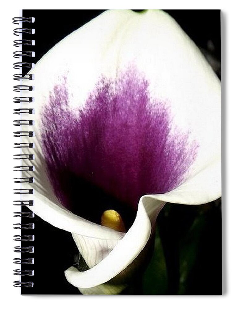 Purple Spiral Notebook featuring the photograph Purple Majesty by Kim Galluzzo Wozniak