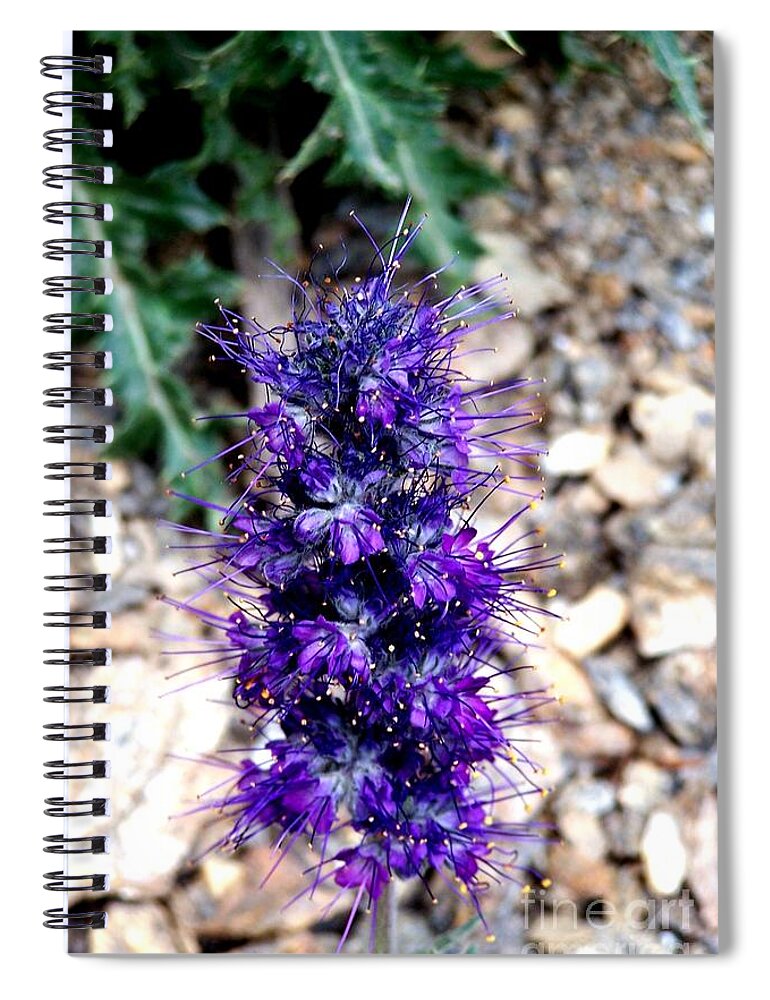 Wildflowers Spiral Notebook featuring the photograph Purple Reign by Dorrene BrownButterfield