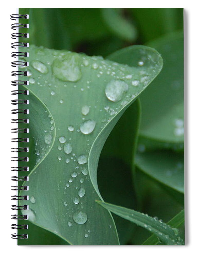 Leaf Spiral Notebook featuring the photograph Raindrops by Aimee L Maher ALM GALLERY