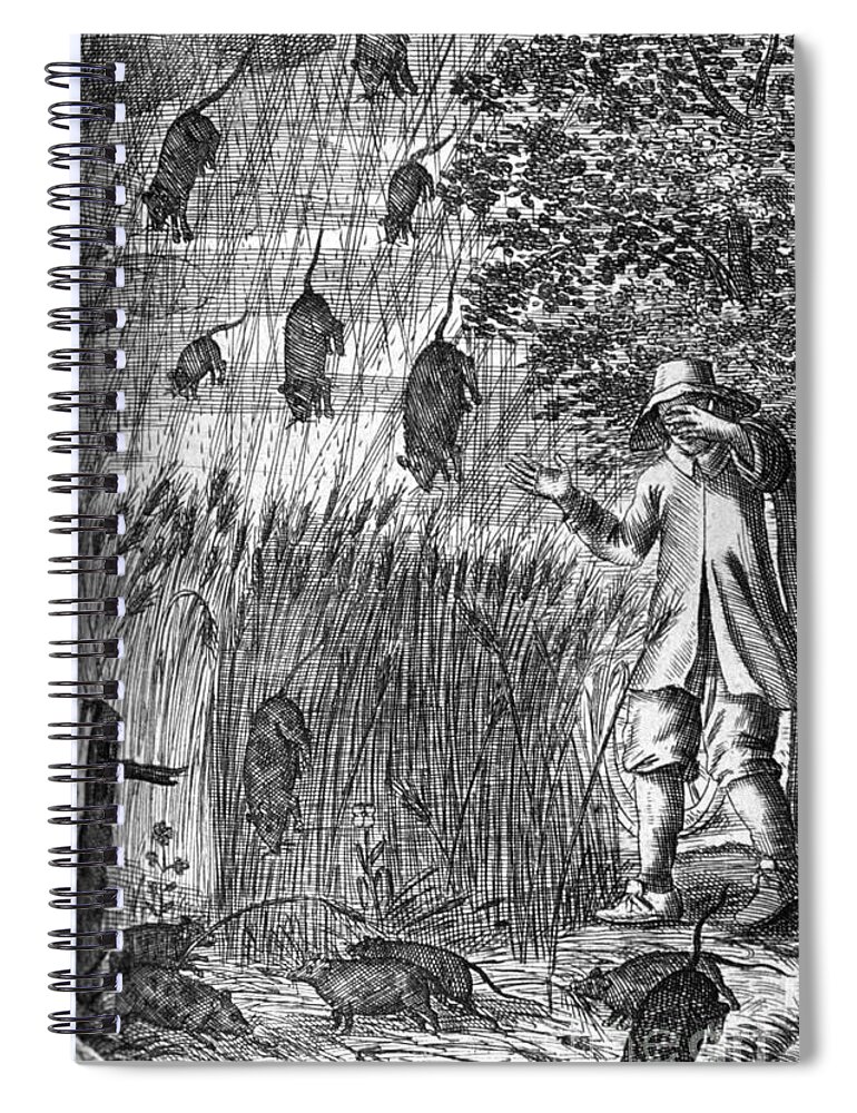 Science Spiral Notebook featuring the photograph Raining Rats, 1680 by Science Source