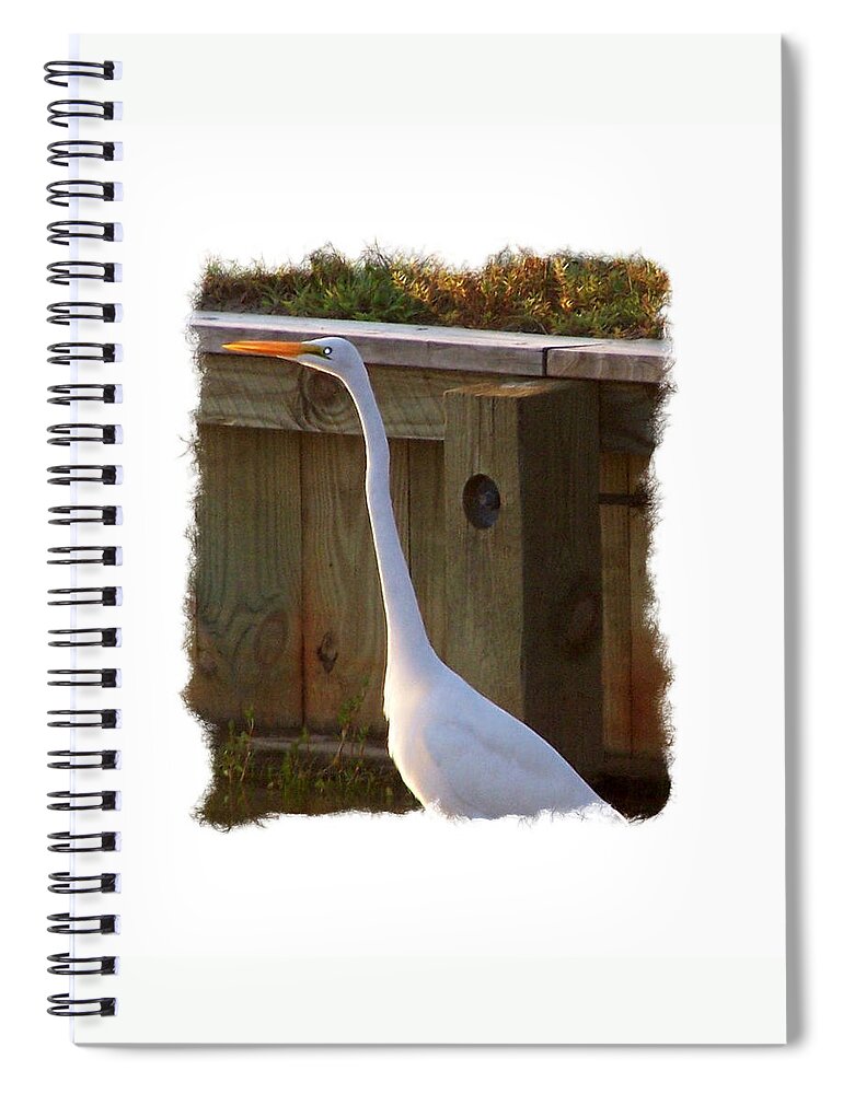 Crane Spiral Notebook featuring the photograph Ready For Flight by Kim Galluzzo Wozniak