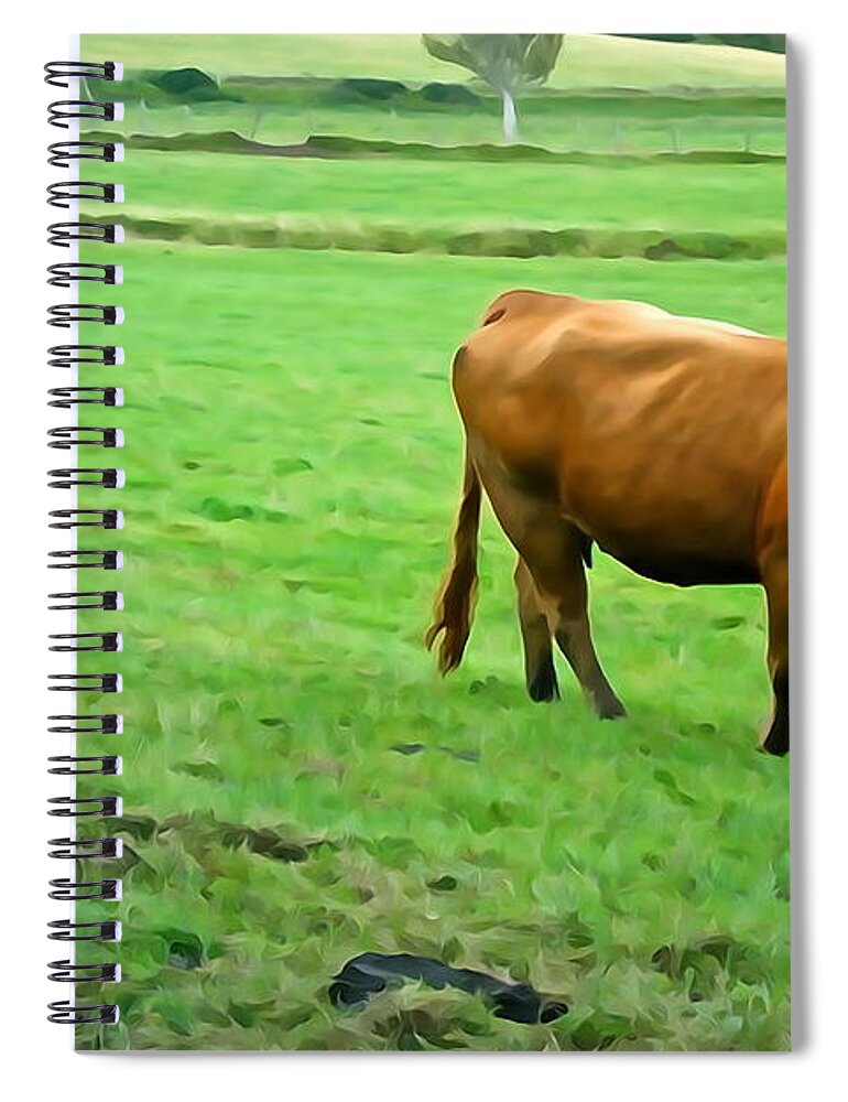 Cattle Spiral Notebook featuring the photograph Red Cow by Norma Brock
